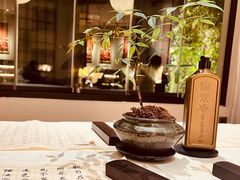 -普陀山雷迪森庄园