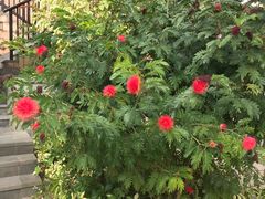 -三亚珠江南田温泉度假区