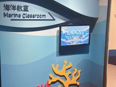 -上海海洋水族馆