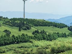-东白山