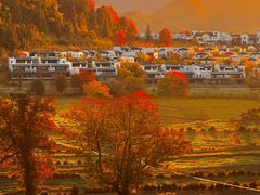 -塔川景区