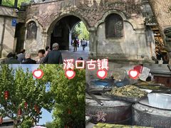 -溪口-滕头旅游景区