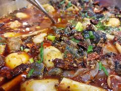 -黑竹香鸡(营和巷店)