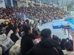 -合肥海洋世界