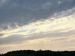 -昆山城市生态森林公园