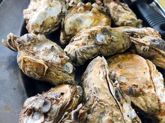 原只蒸生蚝-嘉升大排档(番禺总店)