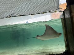 -新加坡水上探险乐园