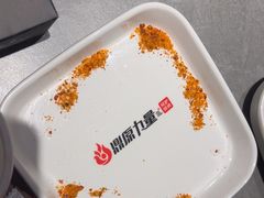 -鼎原力量东北吊炉烧烤(临河街店)