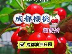 -金谷域澳洲庄园