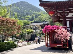 -华清宫景区