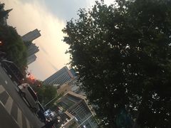 -草桥清真牛肉锅贴扁食店