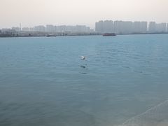 -咸阳湖景区