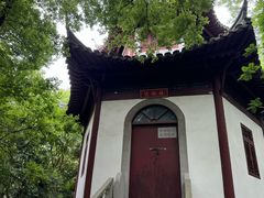 -上海佘山国家森林公园天马山园