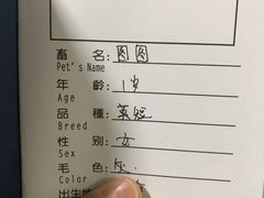 -申普宠物医院·心脏介入·心血管微创(总院)