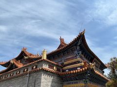 -大召无量寺