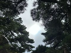 -光明顶山庄