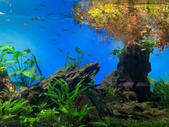 -太平洋海底世界