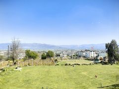 -云禾壹海景庄园餐厅