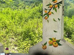 -南北湖风景区