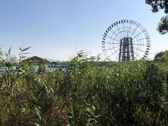 -苏州太湖湖滨国家湿地公园