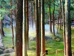 -玉苍山国家森林公园