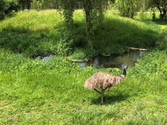 -大连森林动物园