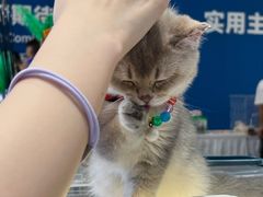 -金茂览秀城