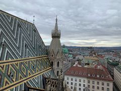 -斯蒂芬主教座堂(Stephansdom)