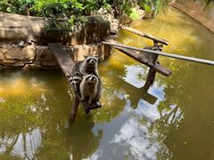 -长鹿旅游休博园