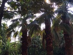 -苏州河梦清园环保主题公园