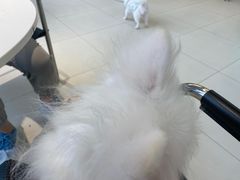 -怪兽屋·羊驼·猫咖·狗咖(俊华广场店)