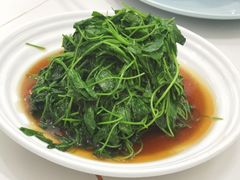-海金滋(陕西南路店)