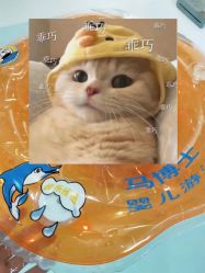-贝美月子中心(海璟店)