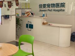 -佳雯宠物医院(四明中路分院)
