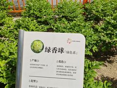 -太阳宫公园