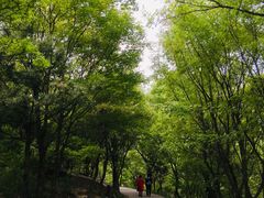 -焦作青龙峡风景名胜区