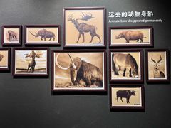 -大庆市博物馆
