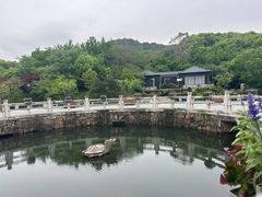 -白马涧龙池景区