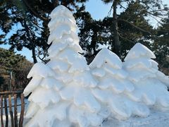 -长春市南湖公园