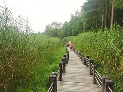 -苏州太湖湖滨国家湿地公园