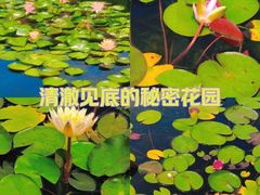 -上海辰山植物园