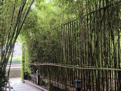 -花锦堂·隐庐