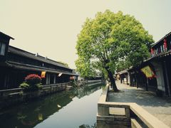 -黎里王记辣脚(黎里总店)
