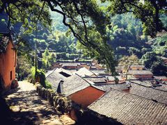 -杨家堂村