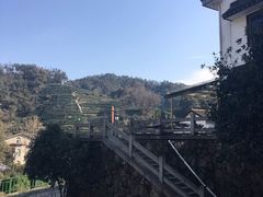 -龙井壹号·茶缘山景宴(龙井村店)