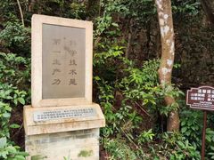 -罗三妹山