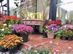 -大隐花事(熊婆婆的花园店)