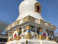 -护国法轮寺