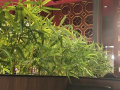 -山城辣妹子(定福庄店)