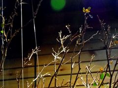 -三千·银饰木艺体验订制